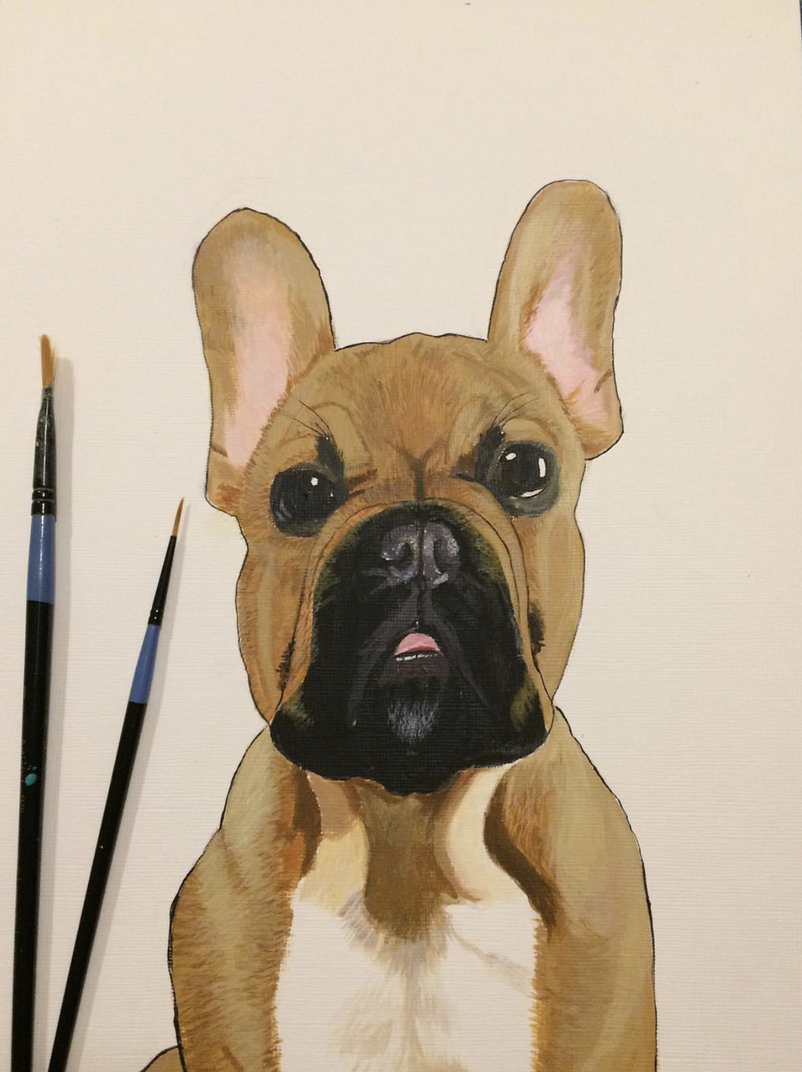 Dog